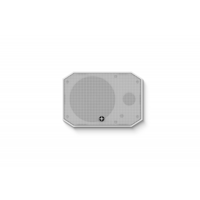 Satellite Speaker IP64 Client Alb