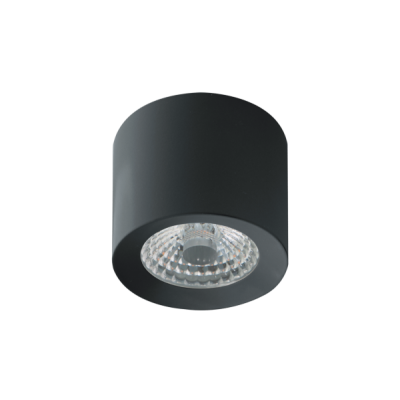 LED Ceiling Spot WW PWM  anthracite