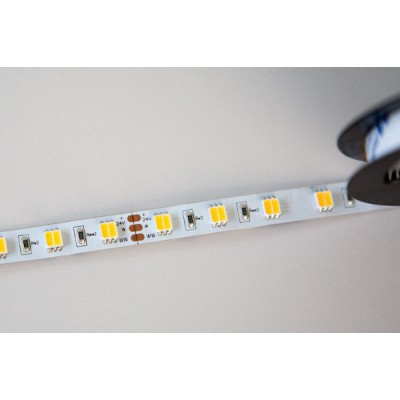 LED Strip Tunable White IP68 (waterproof)